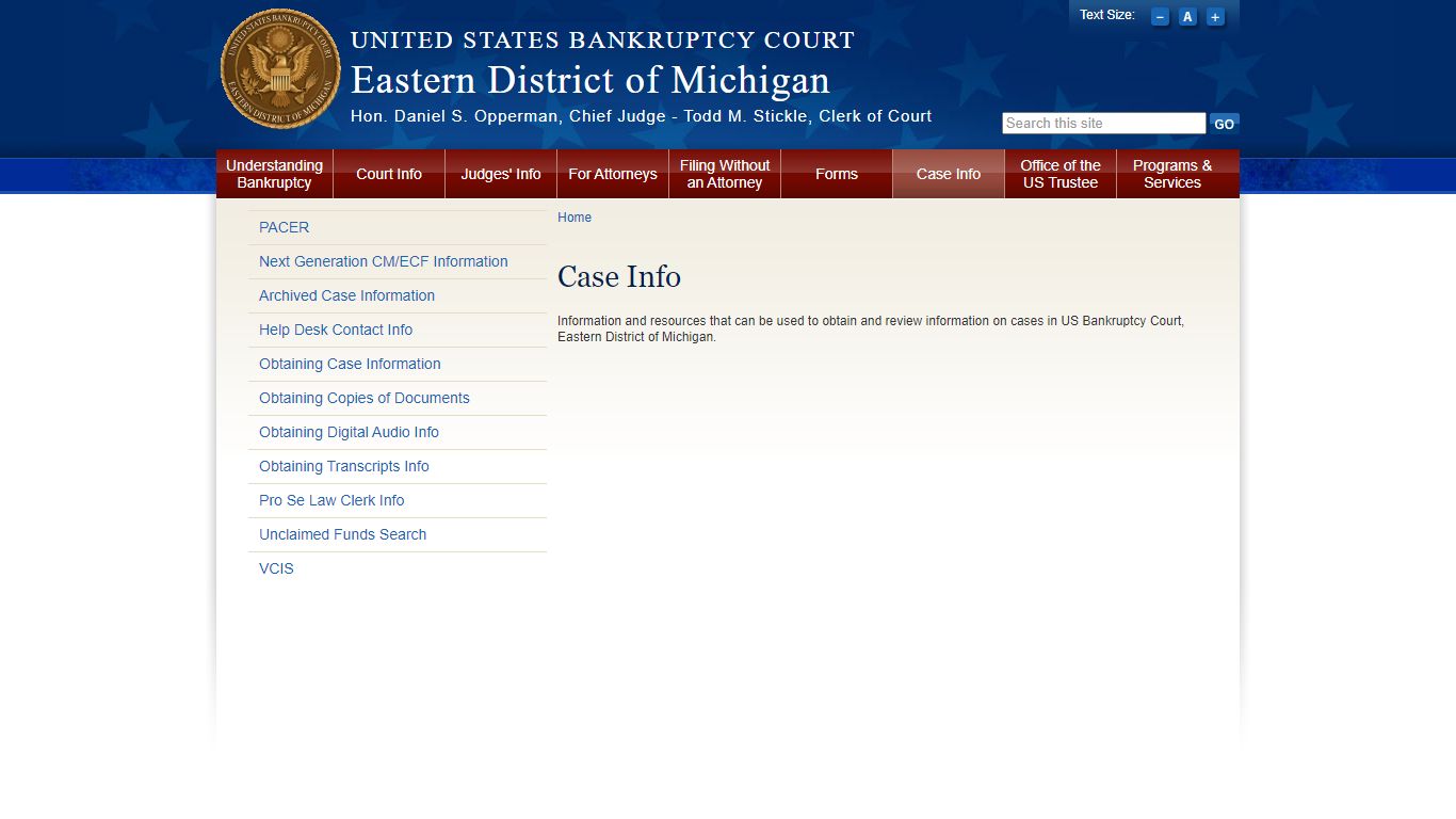 Case Info | Eastern District of Michigan | United States Bankruptcy Court